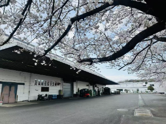 桜の季節の榎戸製作所工場構内
